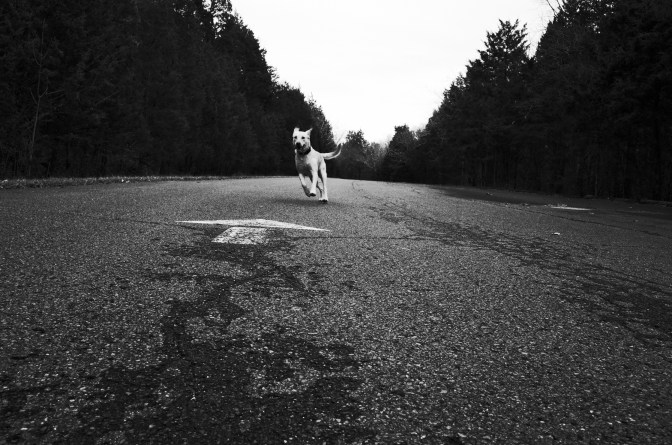 Choose your own path