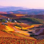 Capturing the Amazing Crops of China