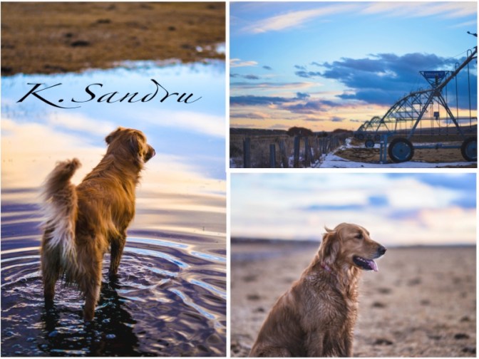 First Signs of Spring.