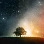 Thoughts in the Night