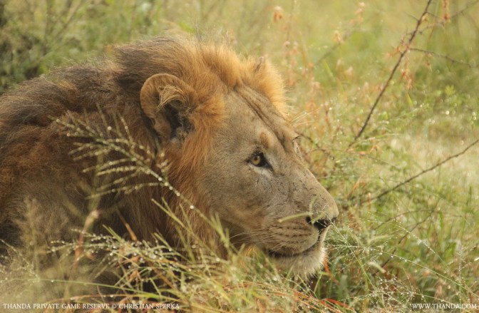 20140409 - CS1_6970 - E