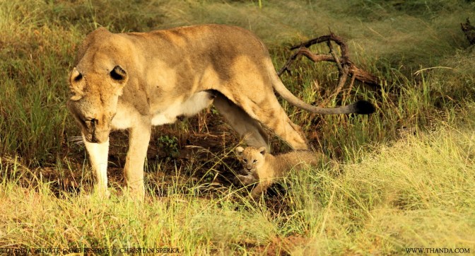 20140409 - CS1_7011 - E