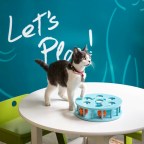 America’s First Cat Café Opens: Drink Coffee Alongside Adorable Cats