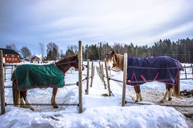 what you stare at?!!