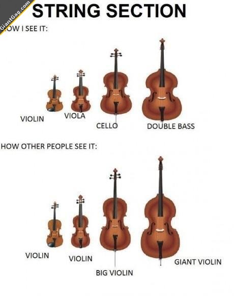 Violin...