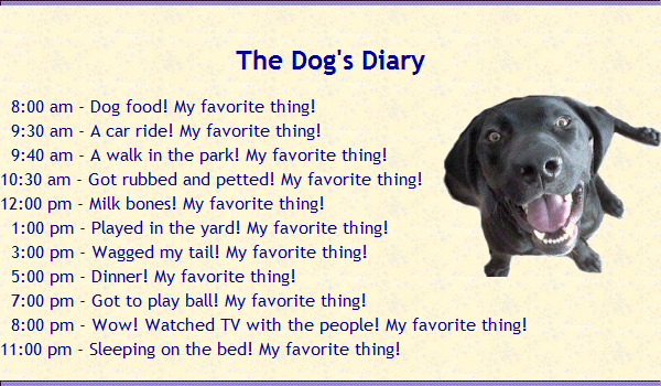 dog-diary
