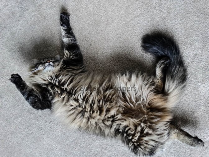 KNOWS HOW TO RELAX!!