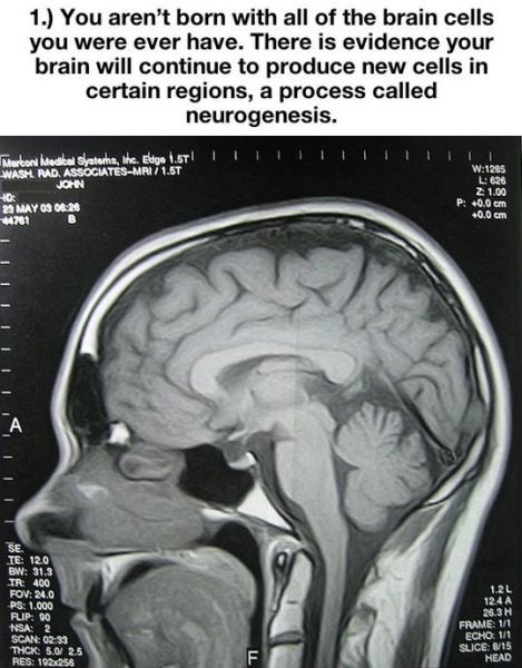 things-you-thought-were-true-but-are-actually-a-lie-1