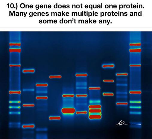 things-you-thought-were-true-but-are-actually-a-lie-10