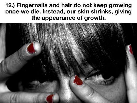 things-you-thought-were-true-but-are-actually-a-lie-12