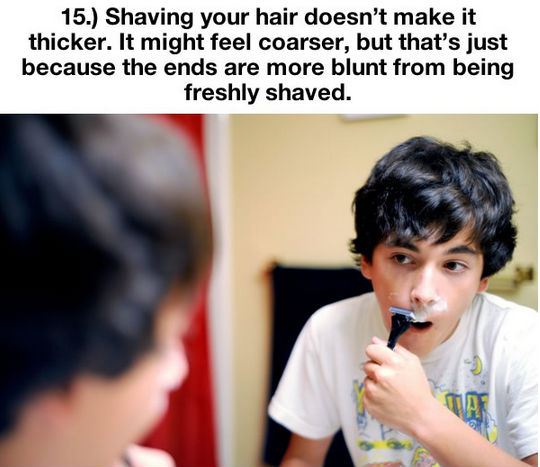 things-you-thought-were-true-but-are-actually-a-lie-15