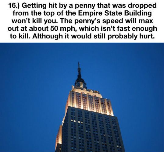 things-you-thought-were-true-but-are-actually-a-lie-16