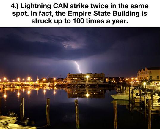 things-you-thought-were-true-but-are-actually-a-lie-4