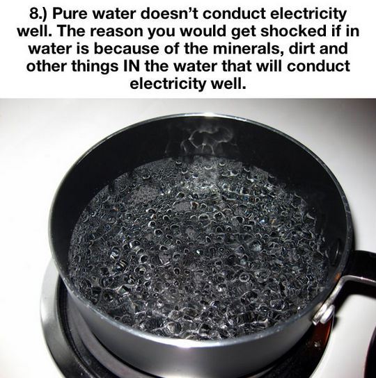 things-you-thought-were-true-but-are-actually-a-lie-8