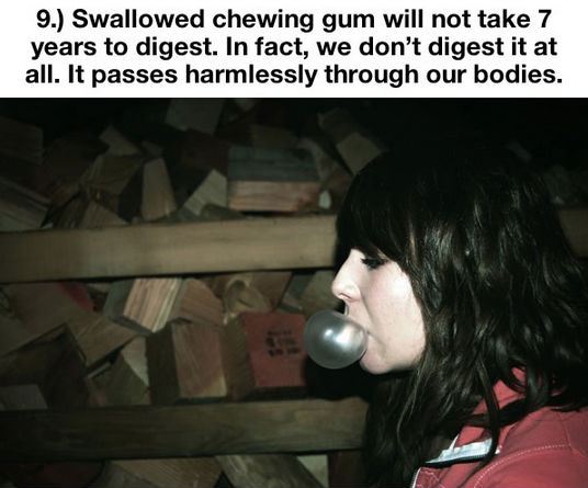 things-you-thought-were-true-but-are-actually-a-lie-9