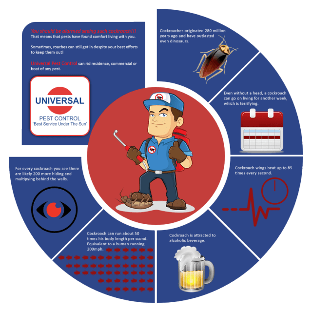 alarming-cockroach