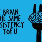 Your Brain is Like Tofu and Six Other Mind-Boggling Facts You Didn’t Know About