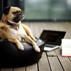 5 Reasons why Being Lazy can be a Good Thing (3 min read)