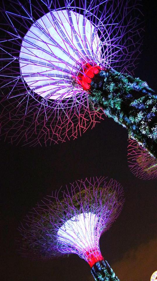 16387405_10158224818835083_2462010942467210707_n