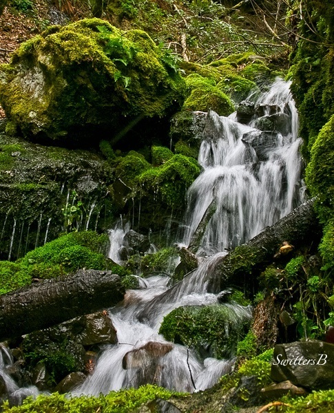 waterfall-little-white-salmon-r-swittersb