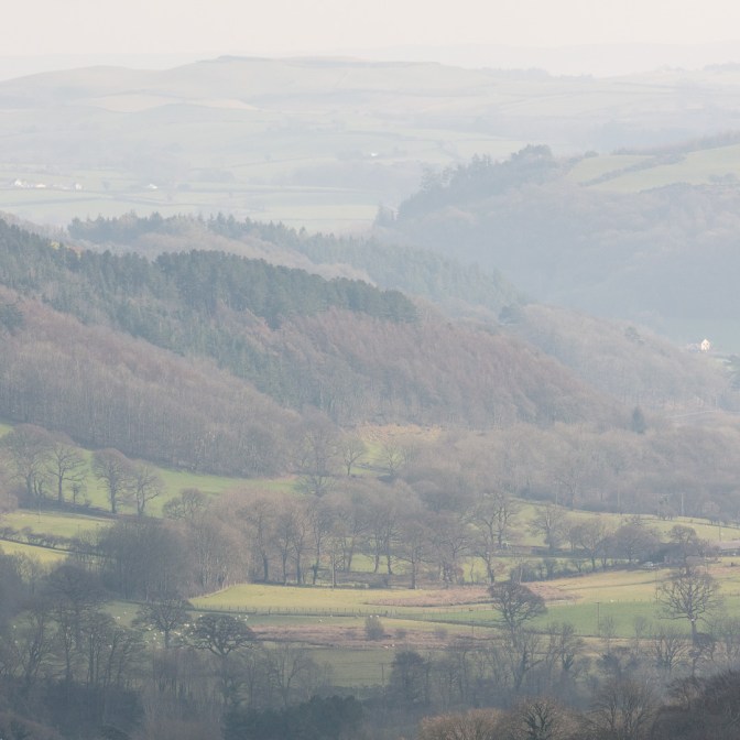 Nant Paith valley, Aberystwyth, Ceredigion.