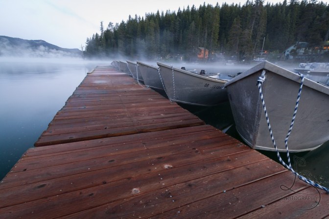 © LotsaSmiles Photography 2016