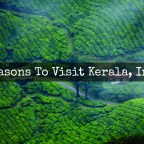 5 Reasons To Visit Kerala, India