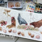 Chicken University