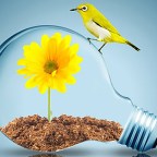 “Change Your Thoughts And You Change Your World.”