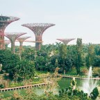 Top 5 Recommendations for a Trip to Singapore
