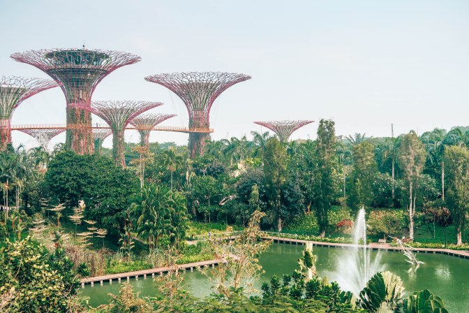 gardensbythebay.jpg