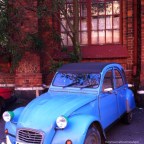Car Craziness
