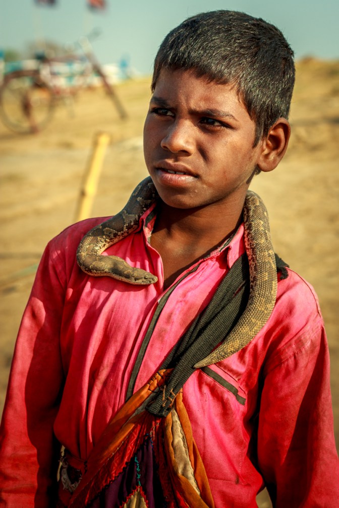 A boy with baby Python