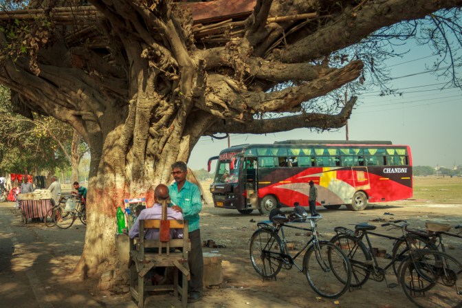 A barber shop under a banyan tree