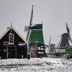 A rare view of the World Heritage Site, Zaanse Schans, covered in snow!