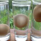 Simple Way To Distinguish Fresh And Rotten Eggs