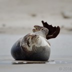 UNESCO nature photography @ 1800mm