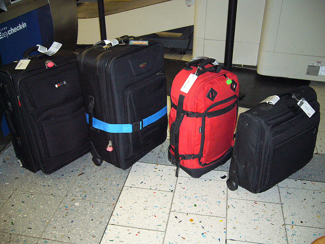 Various Travel Bags
