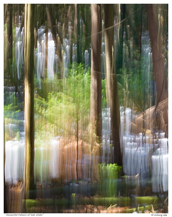 “Unexpected Colours of Late Winter”