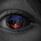 ”Imagination Is The Soil That Brings A Dream To Life”