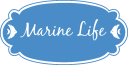 Marine Life medium