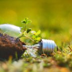 7 Tips to Green your 2018!