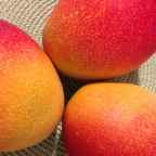 HEALTH BENEFITS OF MANGO 