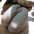 The Seychelles Islands: Our 6D/5N staying on-a-budget itinerary (Part 1/2)