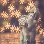 7 Photography Ideas to Help Get You Out of a Creative Rut