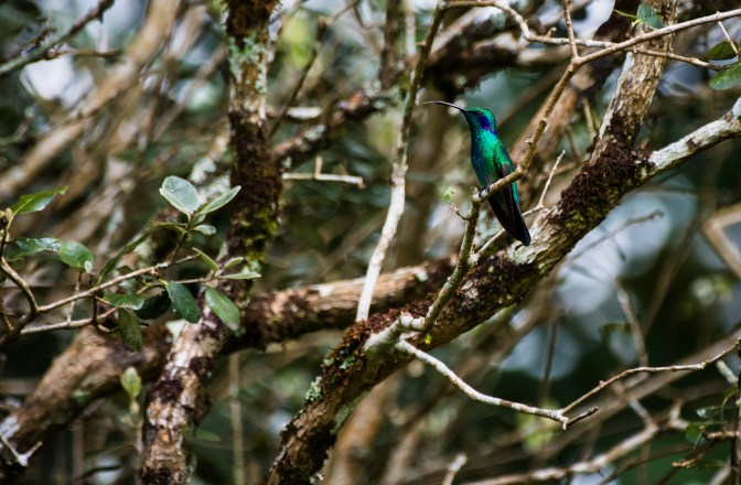 20171124-untitled (35 of 182)