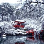 The Four Seasons, Daigo-ji Temple, Japan.