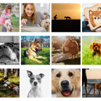 A Quick Guide to Using Free High-Quality Photographs on Your Site