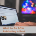 Things to do after publishing a New Post