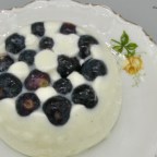 Dessert with Yoghurt and Blueberries